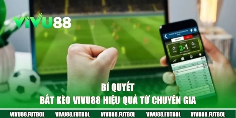 Bí quyết bắt kèo Vivu88 hiệu quả từ chuyên gia