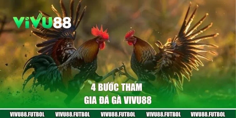 4 bước tham gia đá gà Vivu88