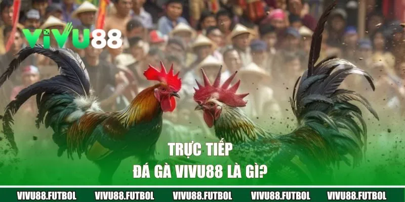Trực tiếp đá gà Vivu88 là gì?