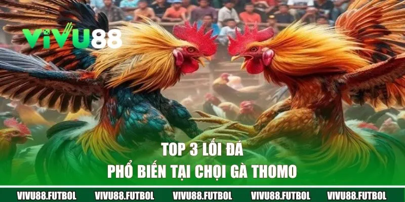 Top 3 lối đá phổ biến tại chọi gà Thomo 